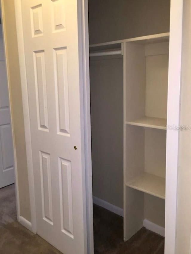 view of closet