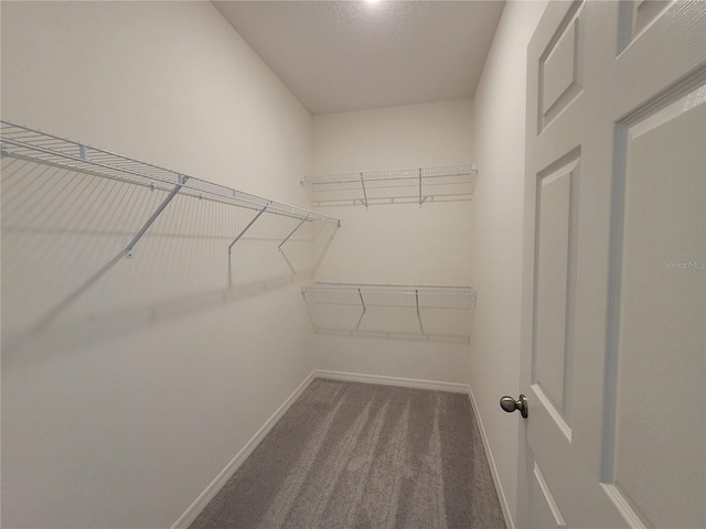 spacious closet with carpet floors