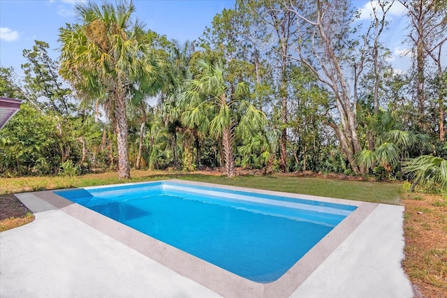 view of swimming pool featuring a yard