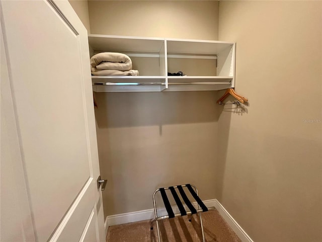 view of closet