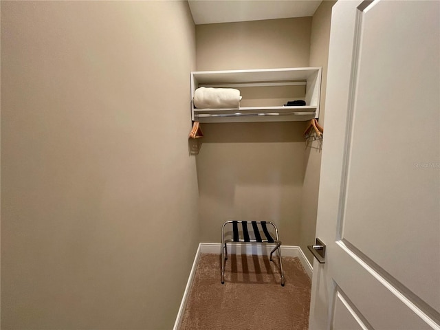 walk in closet with carpet flooring