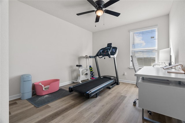 workout room featuring light hardwood / wood-style flooring and ceiling fan