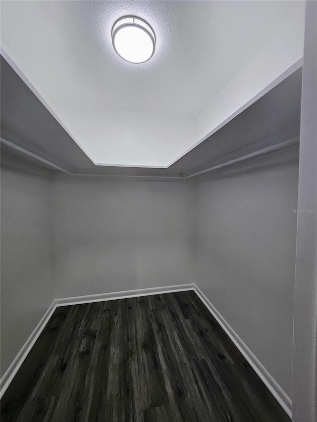 spacious closet with dark hardwood / wood-style flooring