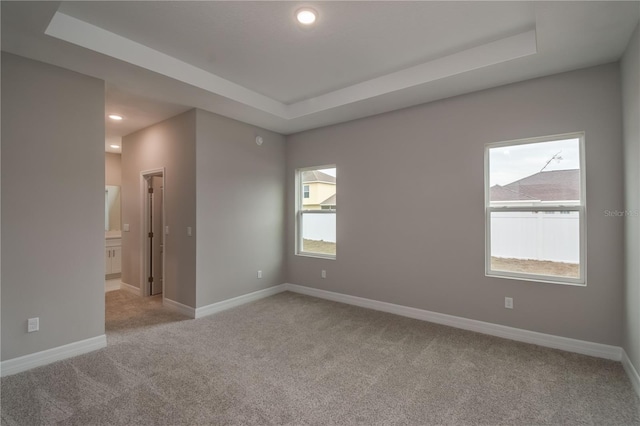 empty room featuring light colored carpet and a tray ceiling