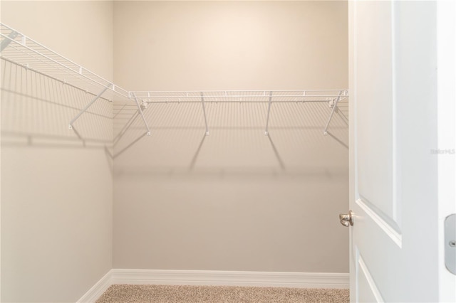 walk in closet featuring carpet