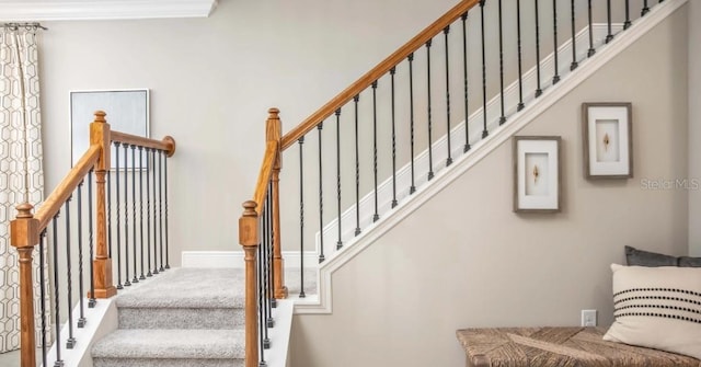 stairs with crown molding and carpet floors