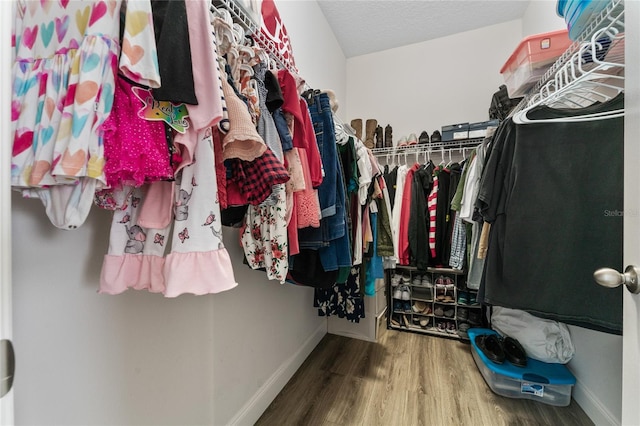 walk in closet featuring hardwood / wood-style floors