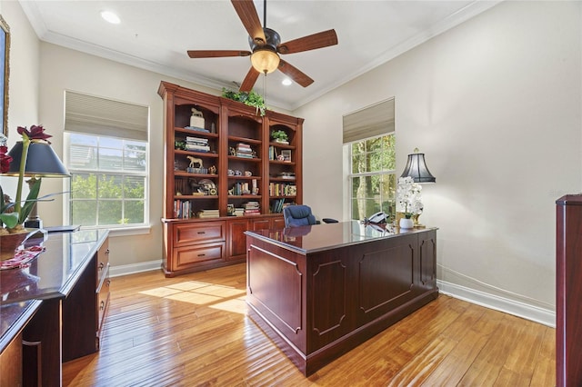 office space featuring crown molding, ceiling fan, and light hardwood / wood-style floors