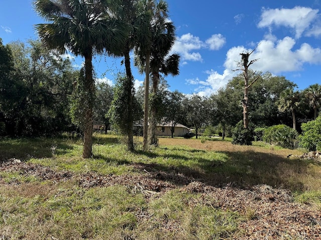 226 Oak Dr, Osteen FL, 32764 land for sale