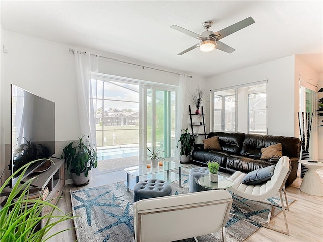 living room featuring ceiling fan and light hardwood / wood-style flooring