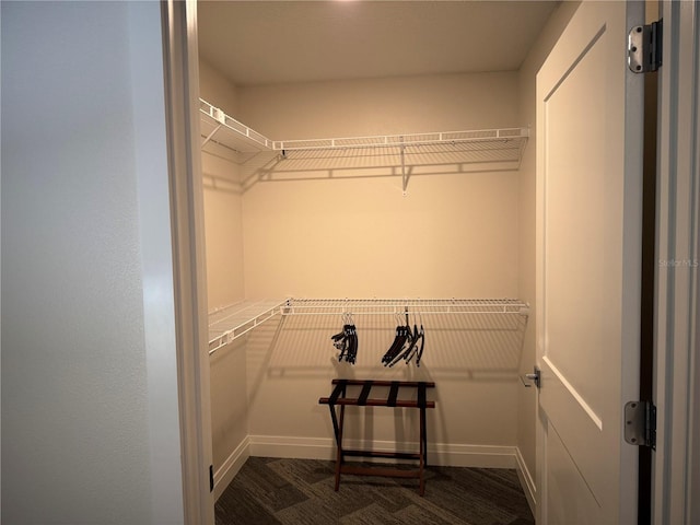 view of walk in closet