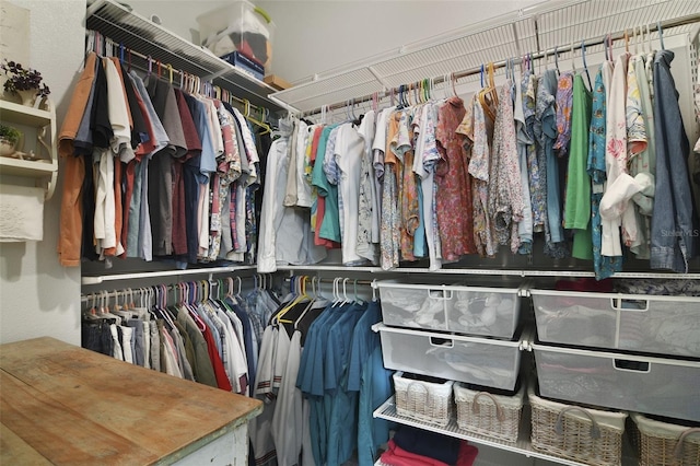 view of spacious closet