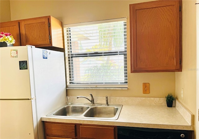 kitchen featuring white fridge, sink, plenty of natural light, and dishwasher