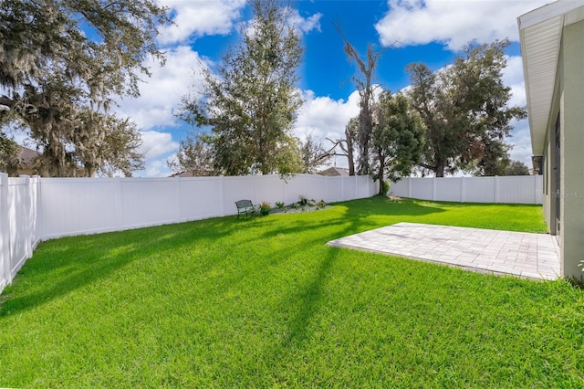 view of yard with a patio area