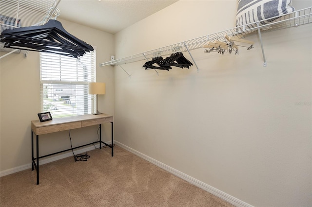 walk in closet featuring carpet floors