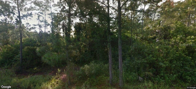 843 Ontario Ave S, Lehigh Acres FL, 33974 land for sale