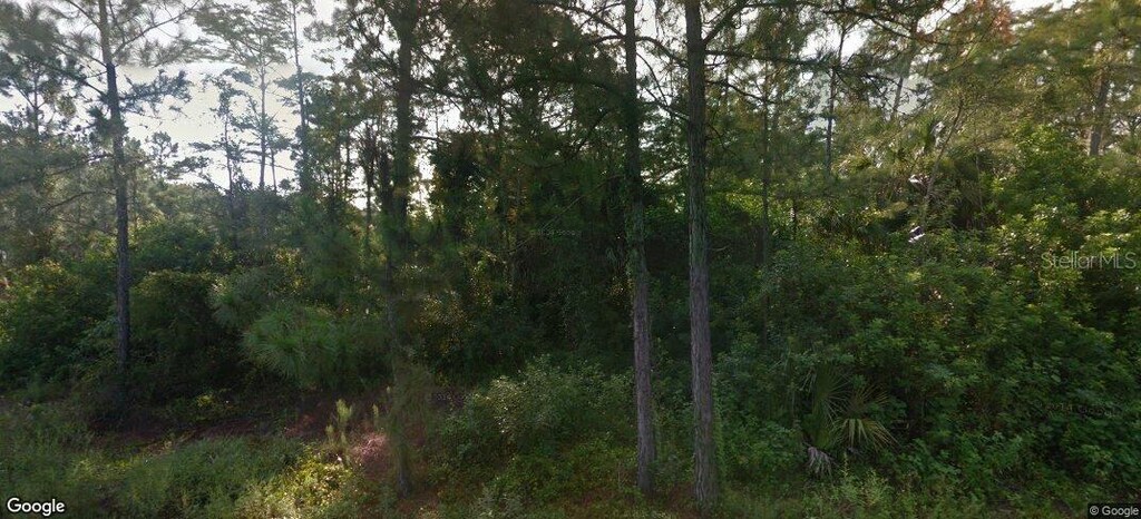 843 Ontario Ave S, Lehigh Acres, FL 33974