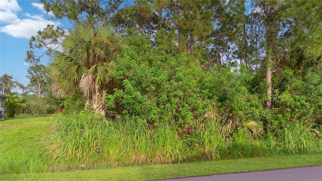 2761 Foxglove Ave SW, Palm Bay FL, 32908 land for sale