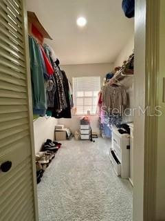 walk in closet with light carpet