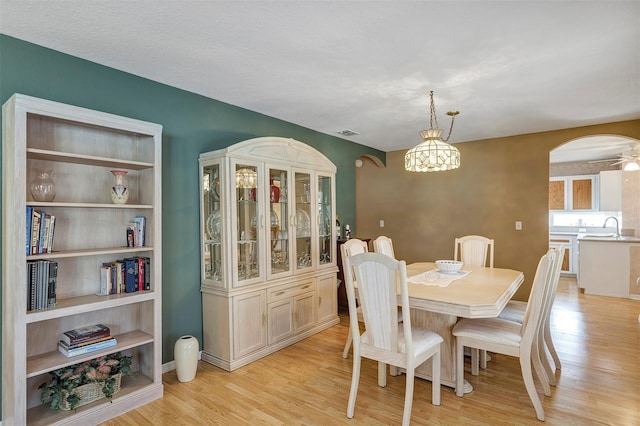 dining room featuring sink, ceiling fan, and light hardwood / wood-style flooring