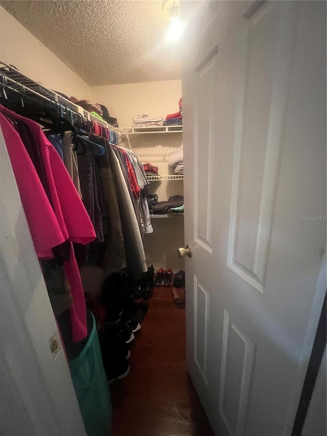 walk in closet featuring wood finished floors