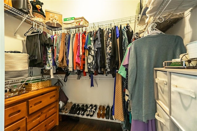 walk in closet with wood-type flooring