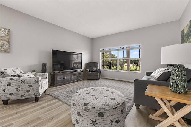 living room featuring wood-type flooring