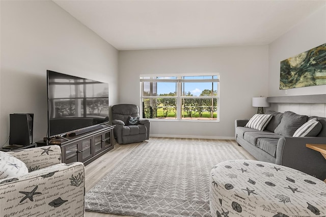 living room featuring light hardwood / wood-style flooring