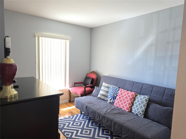 living room featuring hardwood / wood-style flooring