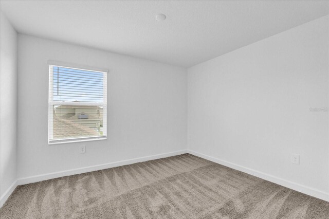 11209 Listening Dr, Orlando, FL 32832 - empty room with carpet floors and baseboards