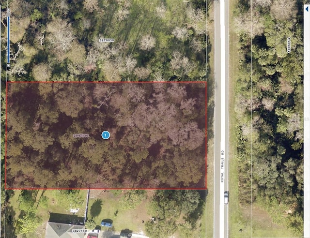 LOT4 Royal Trails Rd, Eustis FL, 32736 land for sale