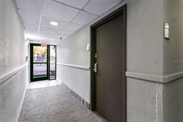 hall featuring a paneled ceiling and light colored carpet