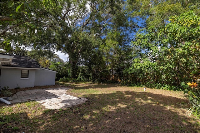 view of yard with a patio area