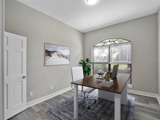 home office featuring hardwood / wood-style flooring