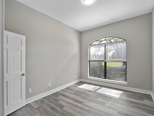 spare room featuring wood-type flooring