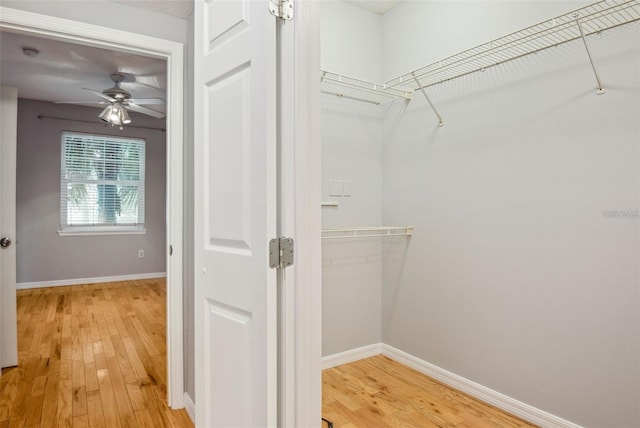 walk in closet featuring wood-type flooring and ceiling fan