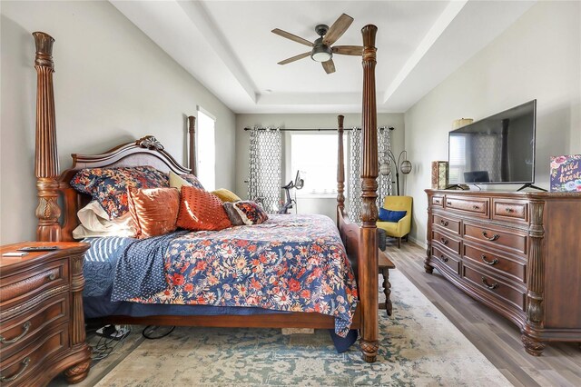 bedroom with wood-type flooring, ceiling fan, and a raised ceiling