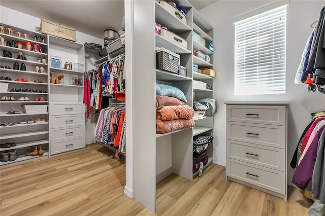 walk in closet featuring light hardwood / wood-style flooring