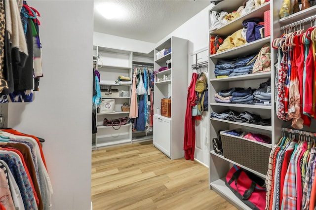 walk in closet featuring light wood-type flooring