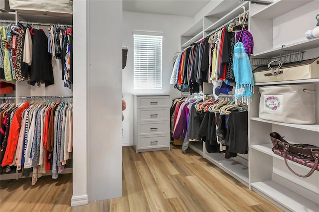 spacious closet with light wood-type flooring