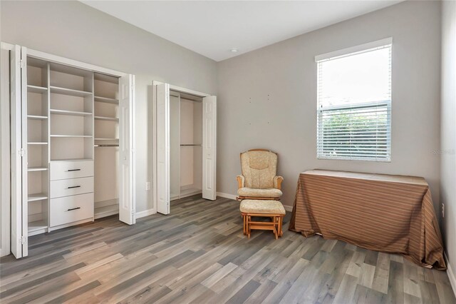 living area featuring wood-type flooring