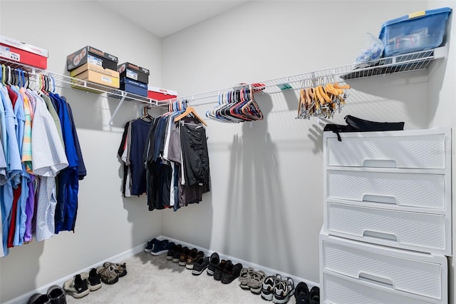 spacious closet featuring carpet flooring