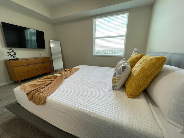 bedroom featuring carpet floors