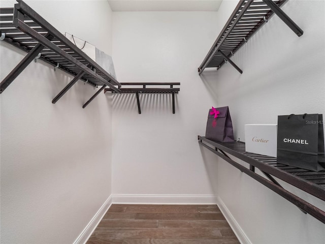 spacious closet featuring dark wood-type flooring