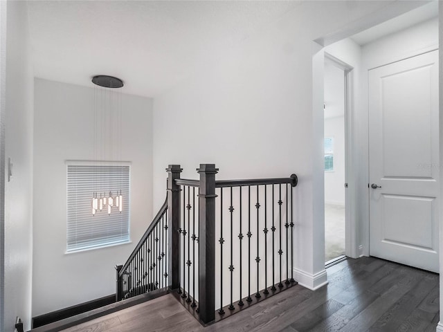 stairway featuring hardwood / wood-style floors