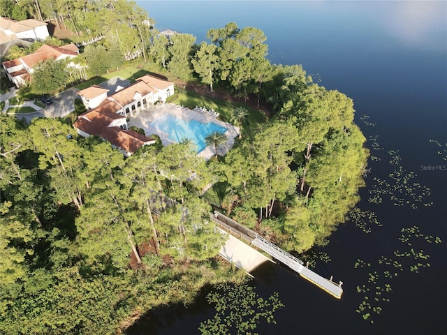 10564 Royal Cypress Way, Orlando, FL 32836 - photo 54