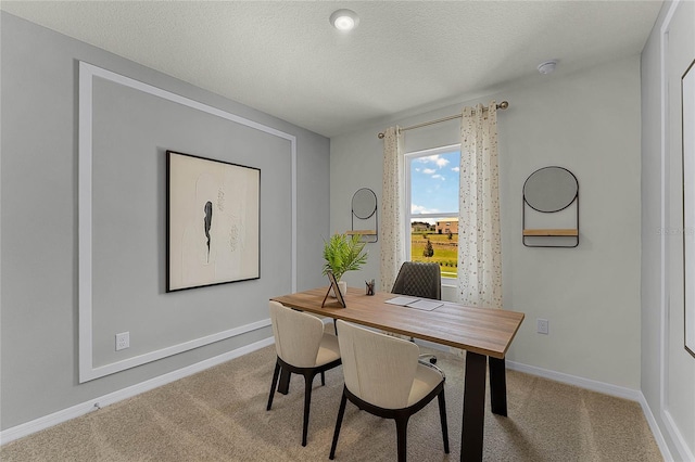 carpeted office space with a textured ceiling