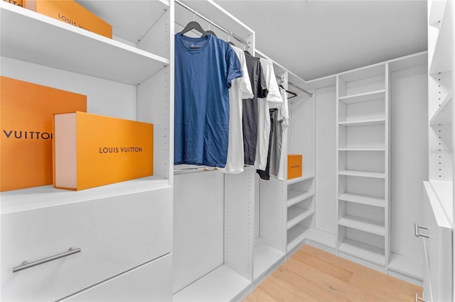 walk in closet with wood-type flooring