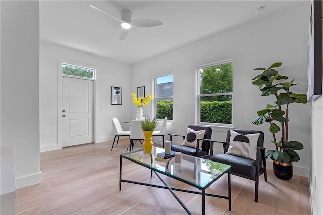 living room with ceiling fan and light hardwood / wood-style floors