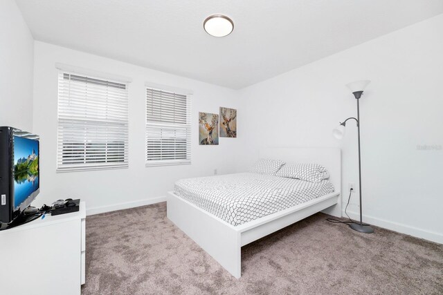11648 Paragraph Rd, Orlando, FL 32832 - photo 21